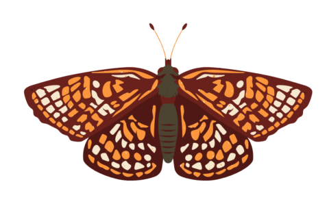 Projects Map - San Diego Nature