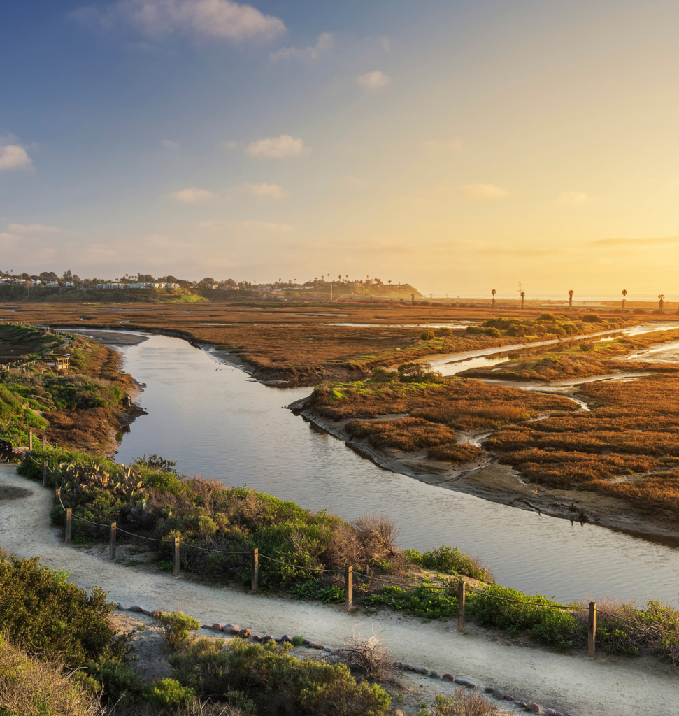 Batiquitos Lagoon viewpoint