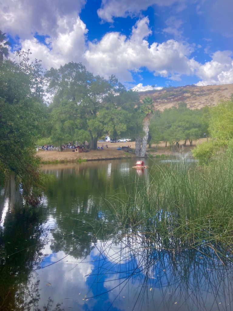 BTR pond view