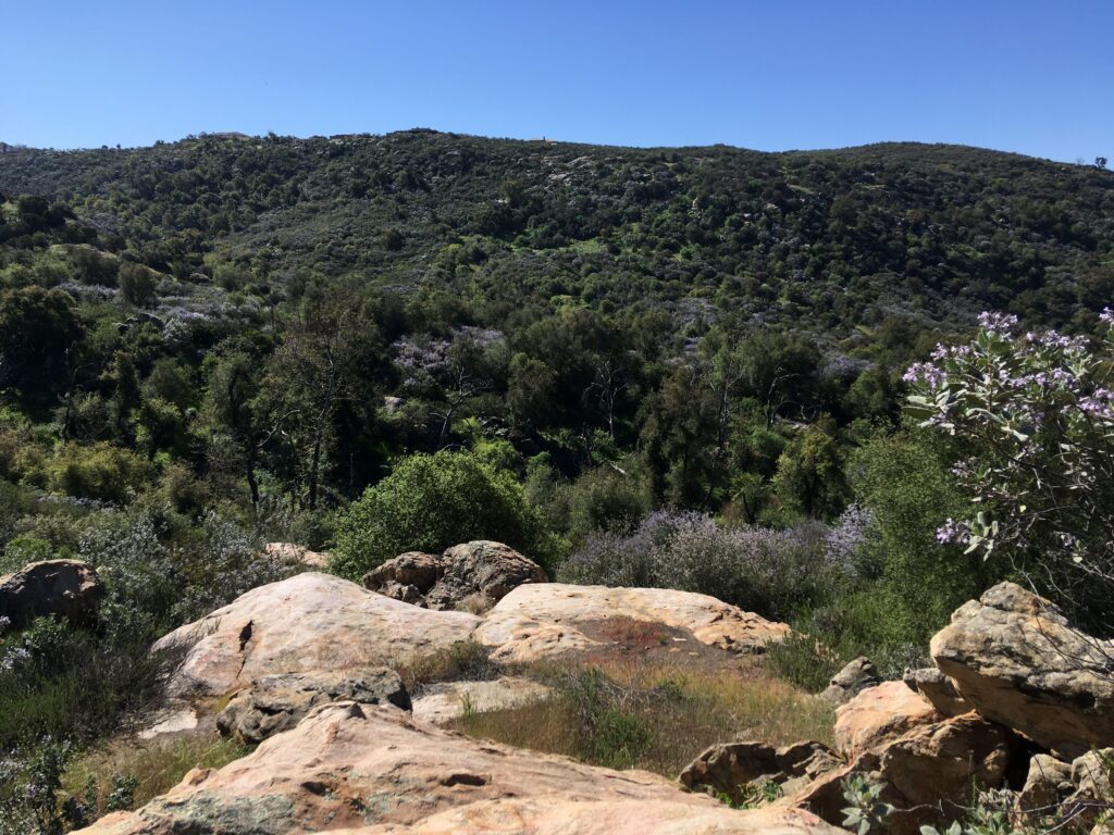 Paradise Mountain