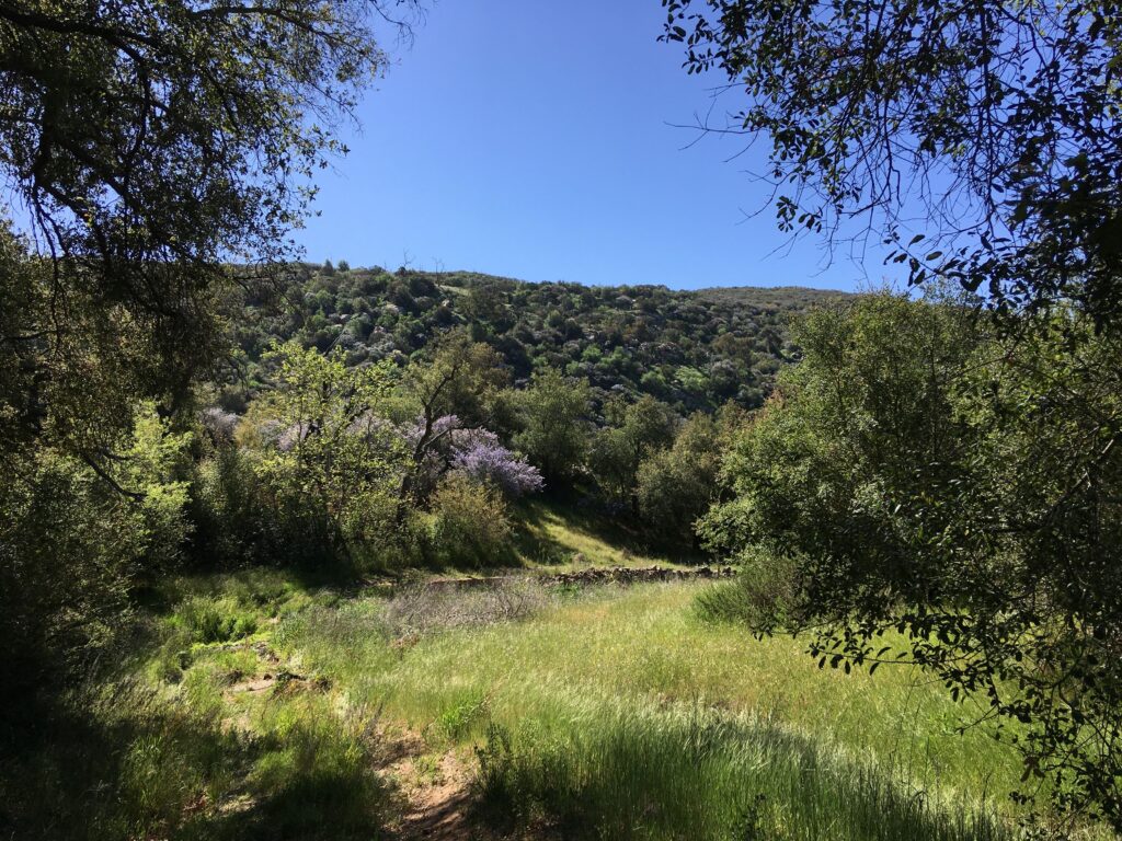 Paradise Mountain 2