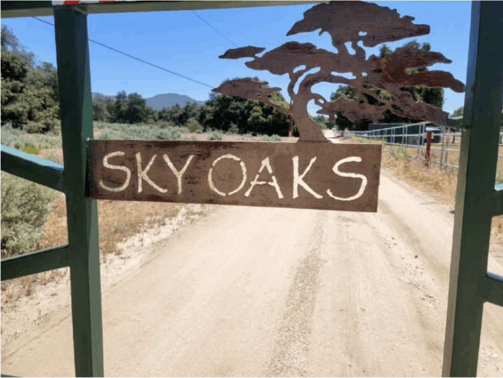 sky oaks 9