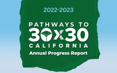 2022-2023 Progress Report