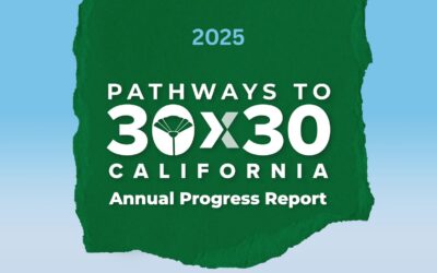 2025 Progress